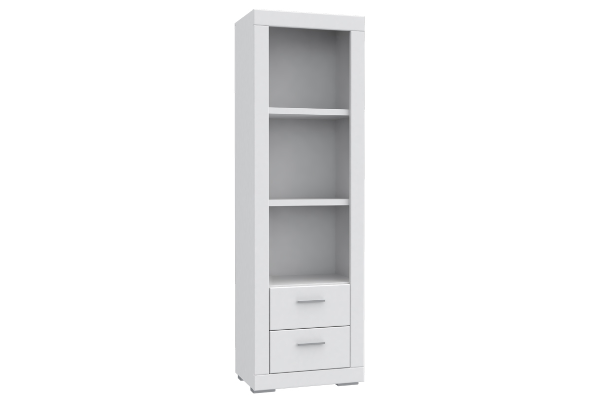 Vitrina WSN 5503