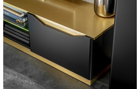 Sekcija FAME 11721