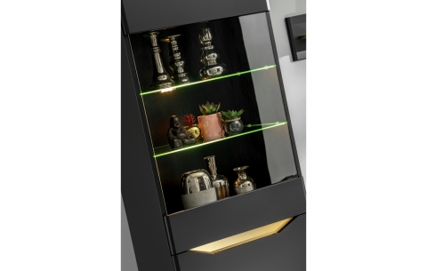 Sekcija FAME 11721