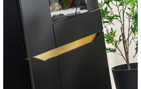 Sekcija FAME 11721