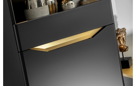 Sekcija FAME 11721
