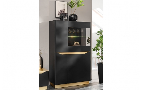 Sekcija FAME 11721