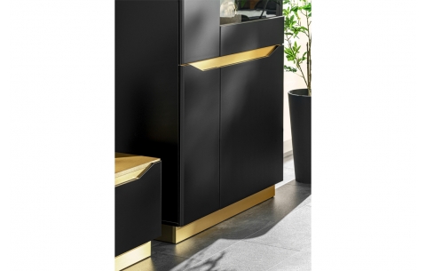 Sekcija FAME 11721