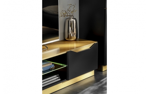 Sekcija FAME 11721