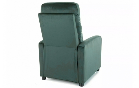 Fotelis TS 13666