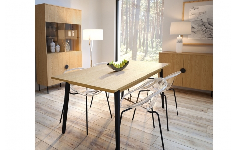 Vitrina MOND 14729
