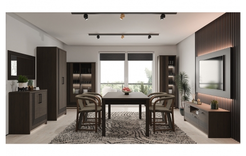 TV ir audio spintelė SFM 15521