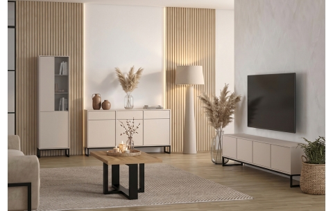 TV ir audio spintelė LOFT 16607