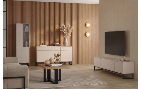 TV ir audio spintelė LOFT 16607