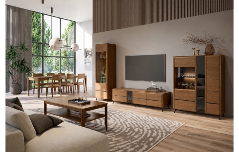 TV ir audio spintelė JANTAR 16792