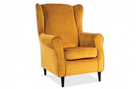 Fotelis NBR 3988