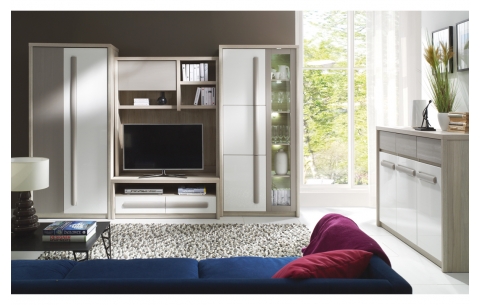 Sekcija RM 480