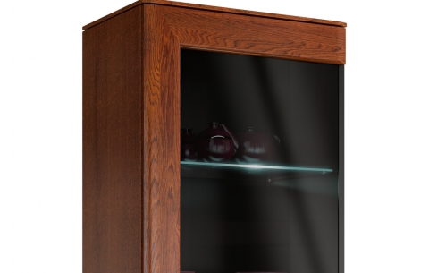 Vitrina SMART 6467